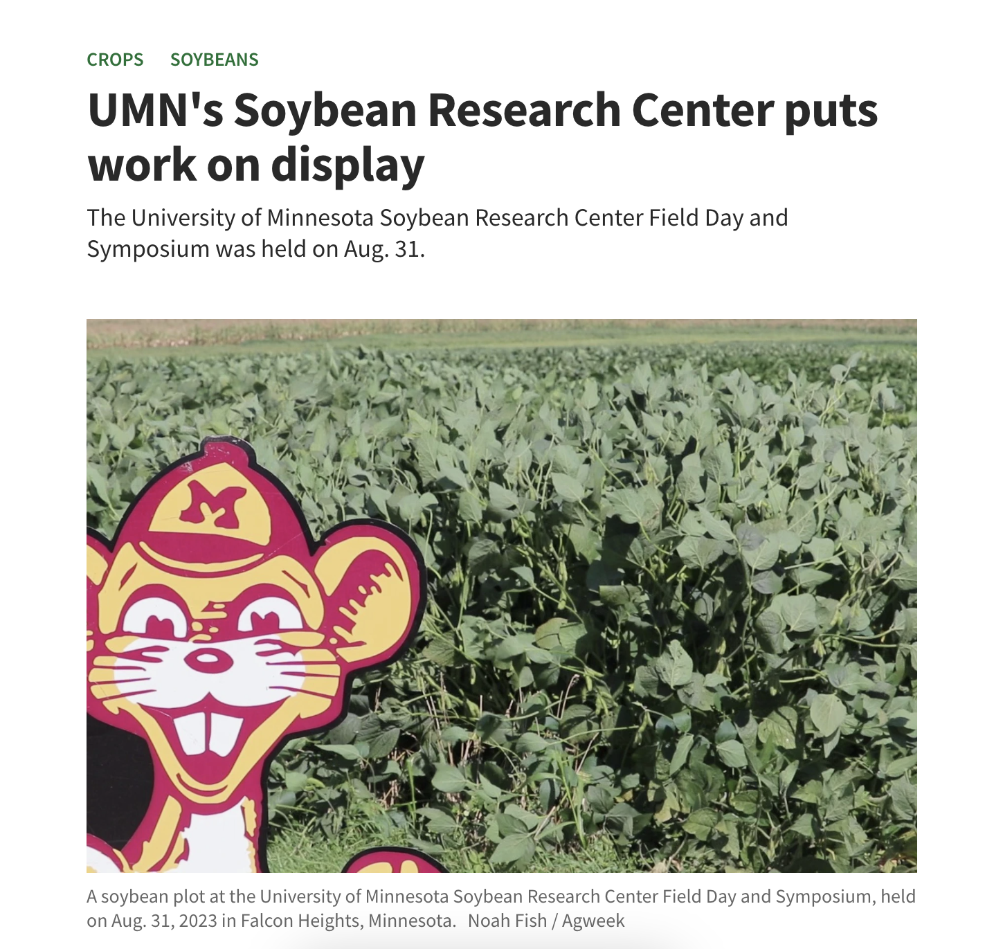 Goldy the Gopher stands in front of a field of soybeans. 