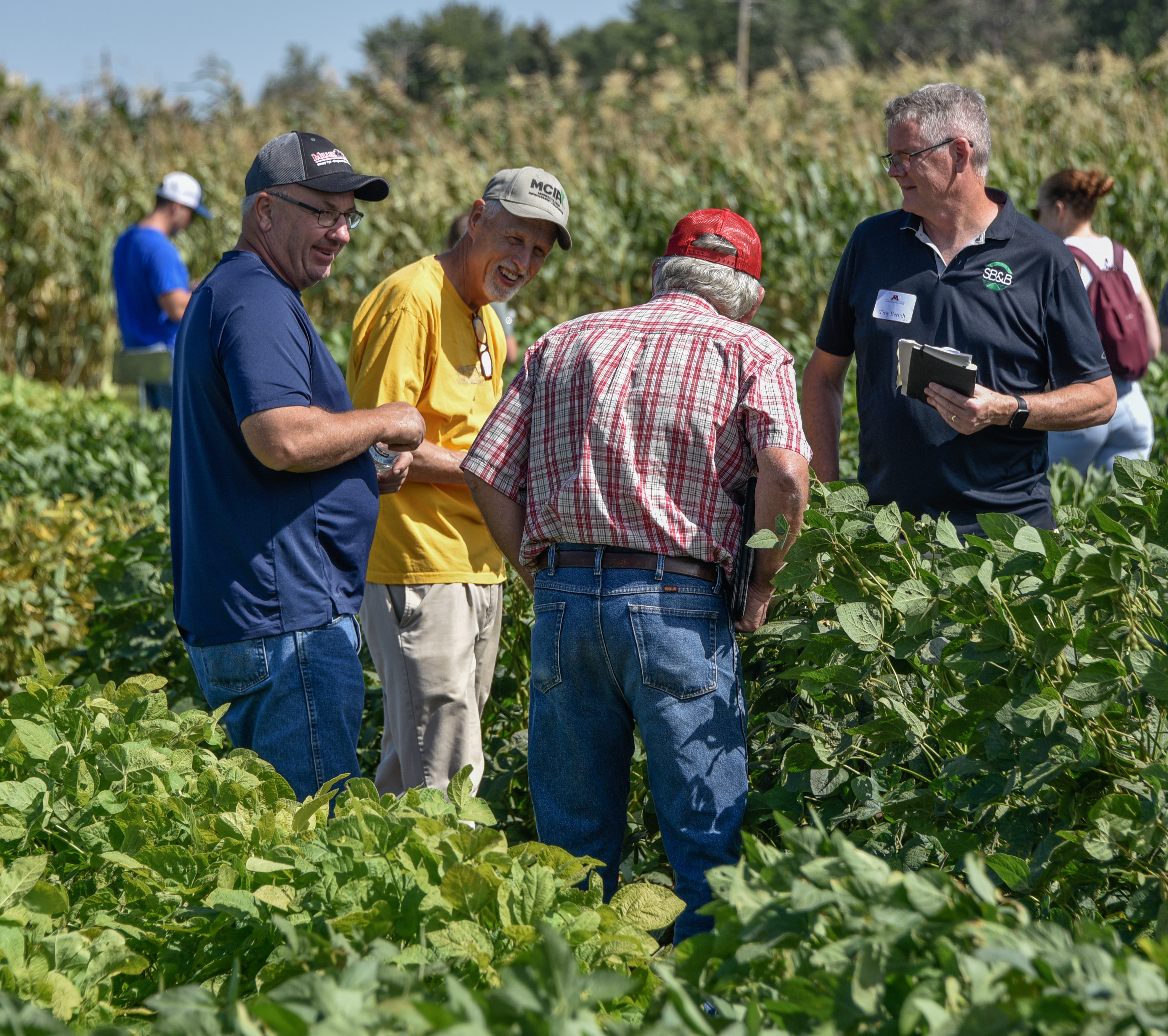Several men stand in a soybean field laughing and talking. 