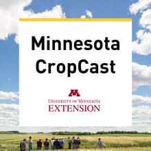 MN CropCast log on background of blue sky with white clouds and crop fields